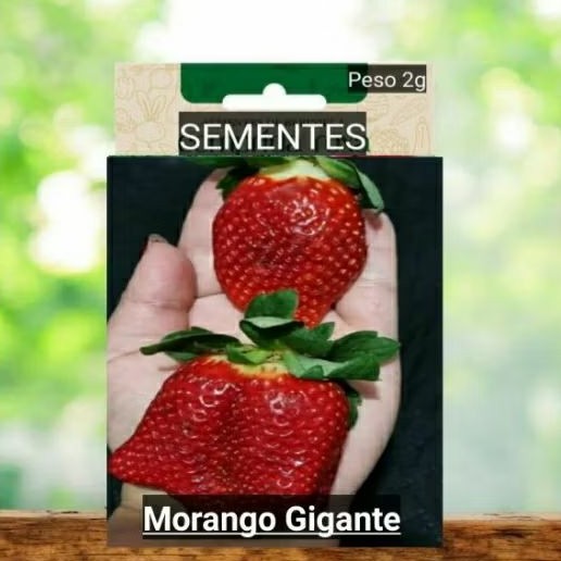 MORANGO DO AMOR  GIGANTE Sementes plante vaso horta terra adubo OFERTA