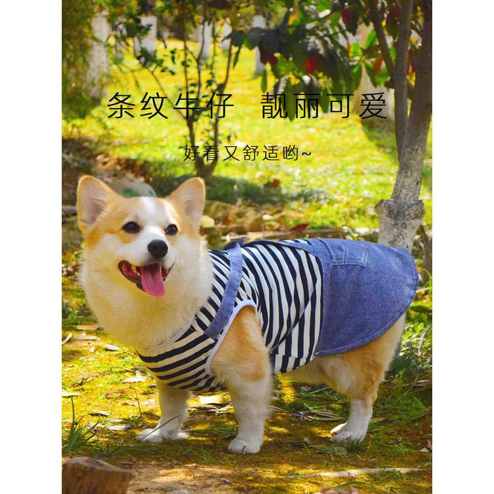 Pet Shiba Inu Teddy Corgi roupas para cães saia 2024 novo estilo primavera verão colete Anti-fiapos colete fino