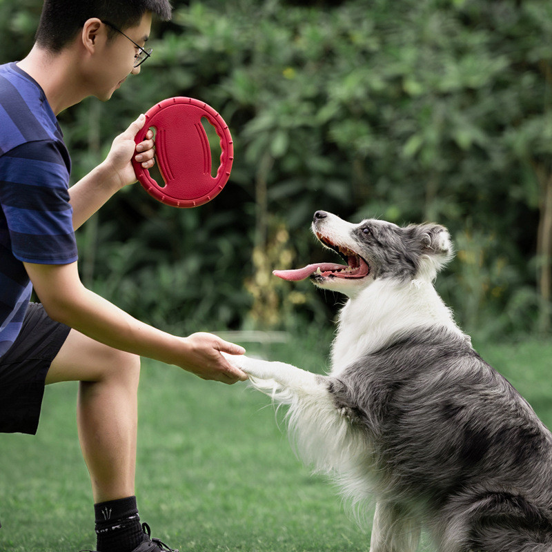 Meinju Pet Frisbee cão brinquedo puxar anel treinamento interativo pequeno médio cão Golden Retriever cão rebocador de g