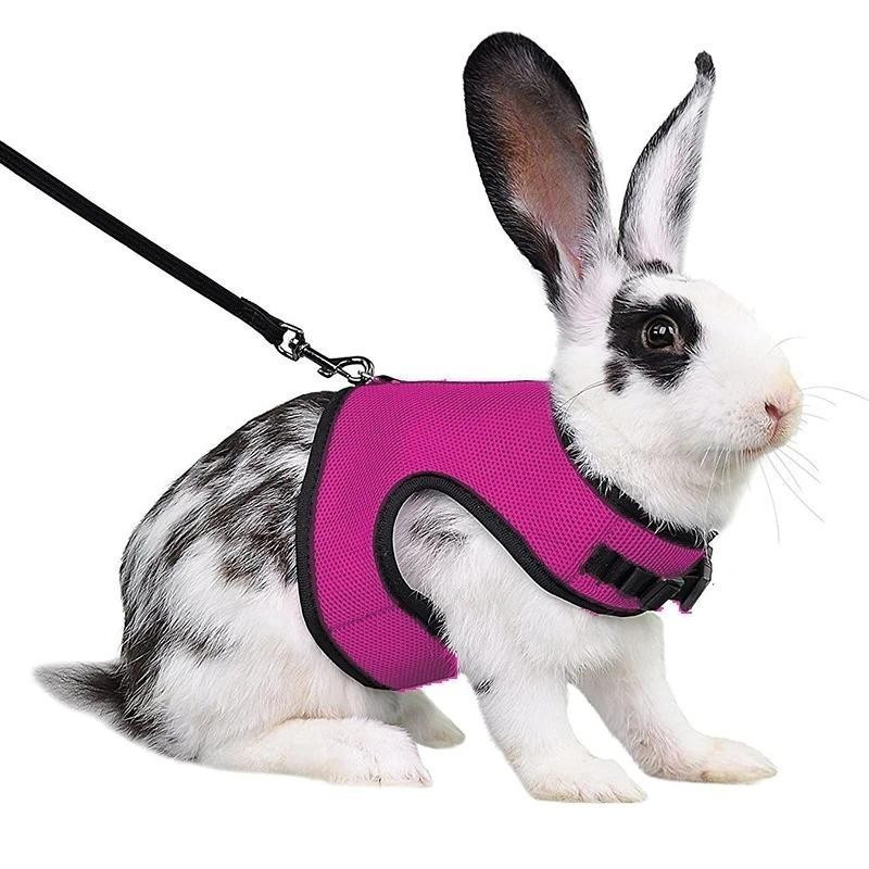 Mutil-Cores Respirável Elegante Colete Pequeno Saco De Transporte De Animais De Estimação Arnês Macio Ajustável E Trela