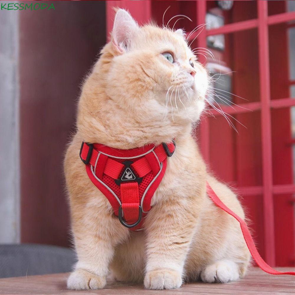 Trela De Arnês Para Gatos Kesselmanmoda , Conjunto De Com Acabamento Reflexivo Estilo Colete , Respirável