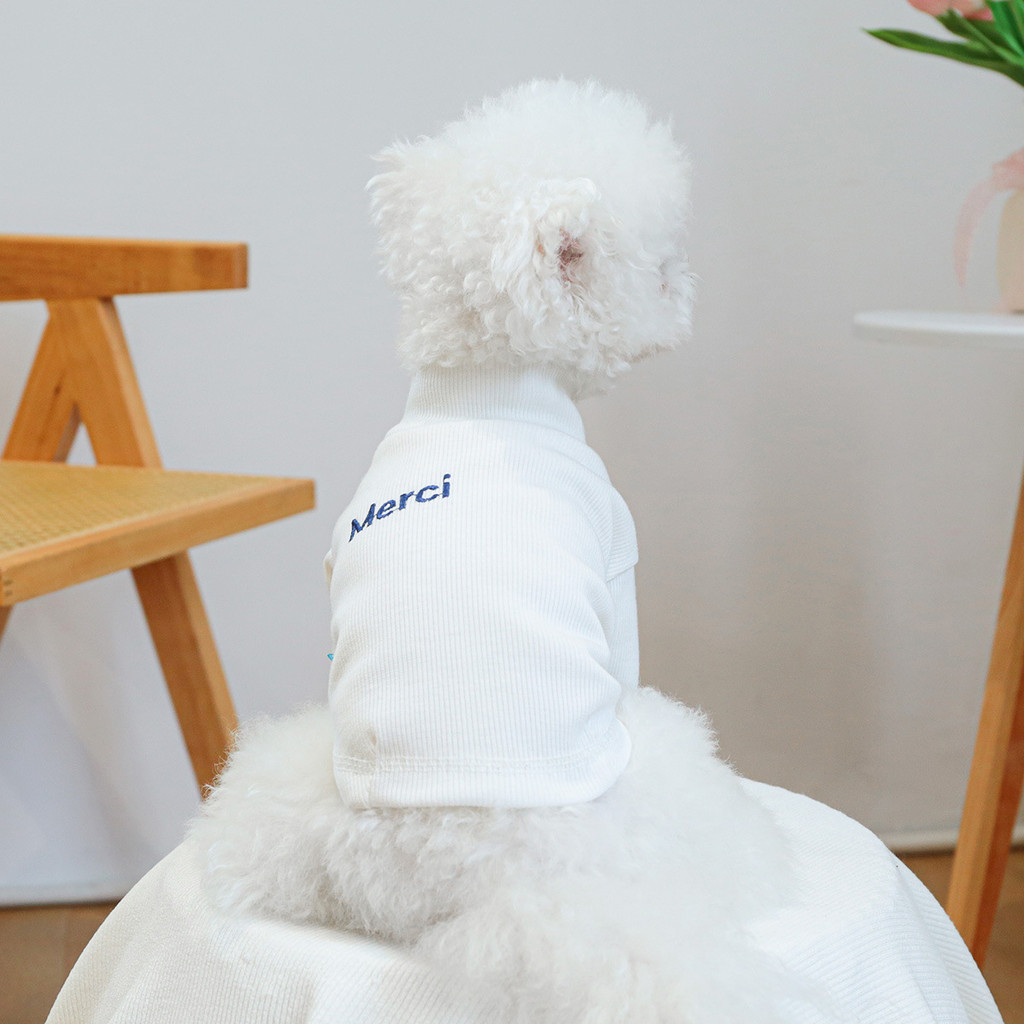 2026 Brasil Camisa de fundo com letras para animais de estimação mais vendidas, primavera verão outono três estações Uni