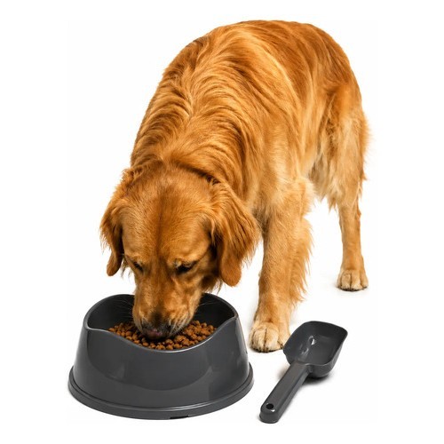 Kit Comedouro Cachorro Grande 1900ml Com Pá Para Ração N/a Cinza-escuro