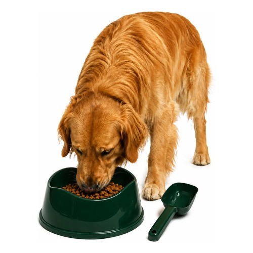 Kit Comedouro Cachorro Grande 1900ml Com Pá Para Ração N/a Verde-escuro