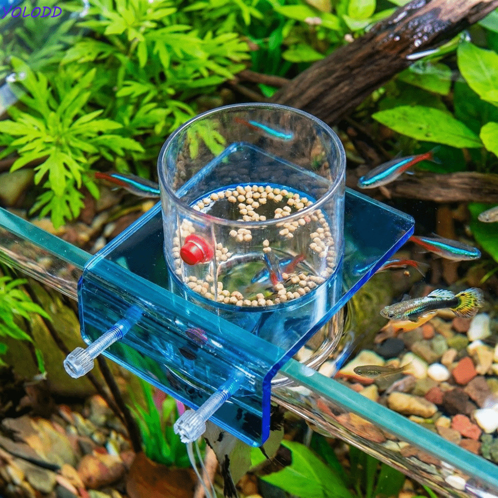 Alimentador De Tanque De Peixes Yoloqx , Anel De Alimentação Transparente De Plástico , Tigela Aquário Montada Na Parede