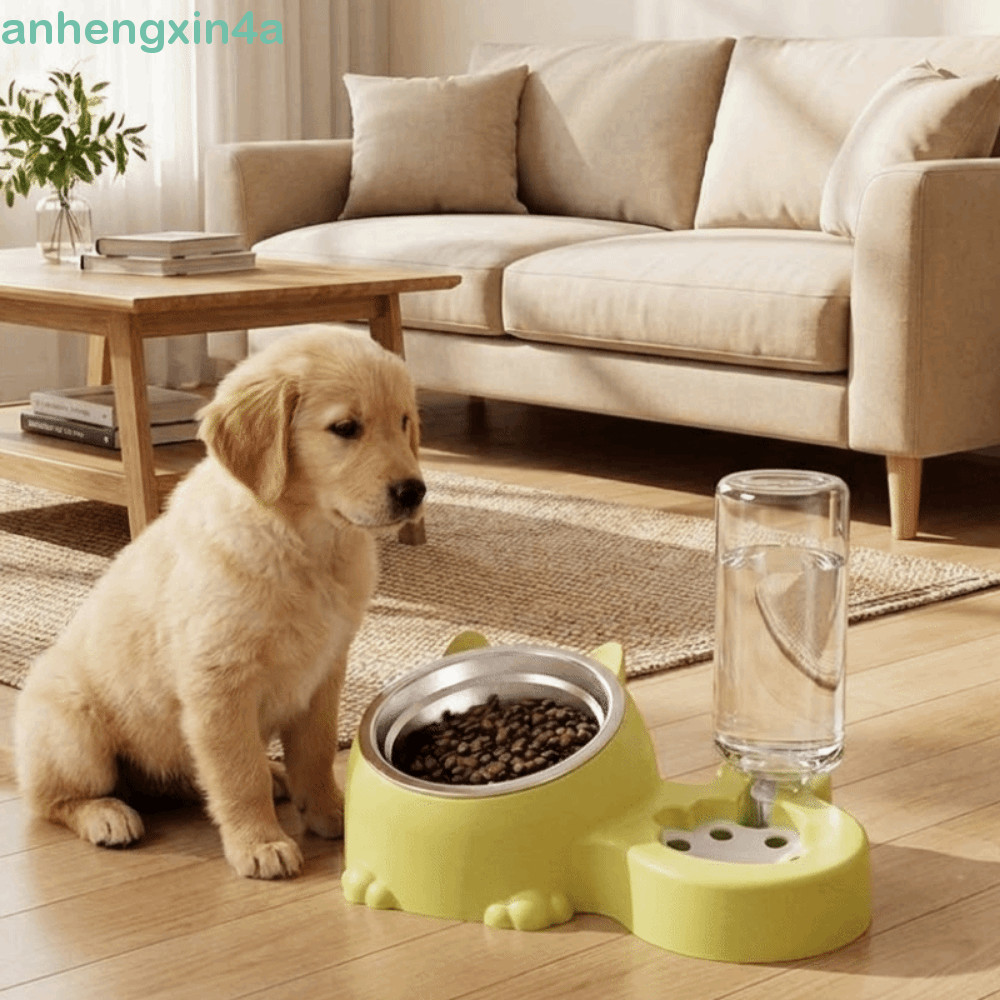 ANHENGXIN 2 Em 1 Dispensador De Comida Para Gatos , Alimentador Automático De Plástico Animais De Estimação Com Proteção