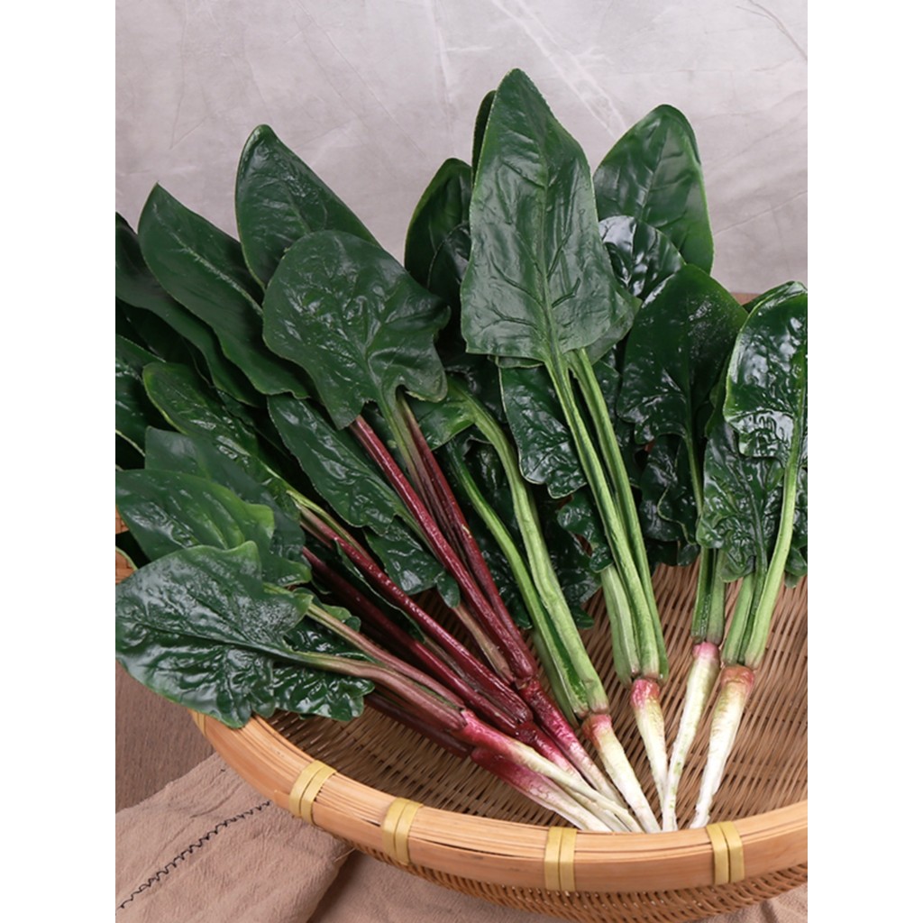 Simulação modelo de espinafre frutas falsas vegetais folha verde vegetal pote quente comida pratos laterais conjunto ade