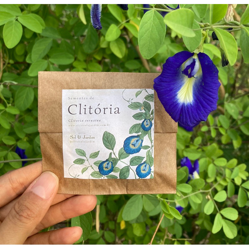 JAAA 20 Sementes de Flor Clitória, Fada-azul, Feijão-borboleta, Ervilha-borboleta (Clitoria ternatea)