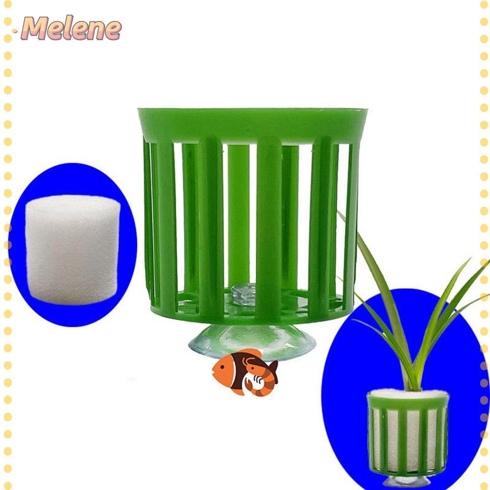 MELENEY9 Suporte Para Plantas Tanque De Peixes , Ventosa , Fácil Instalação , Anel Fixo De Aquário Estável
