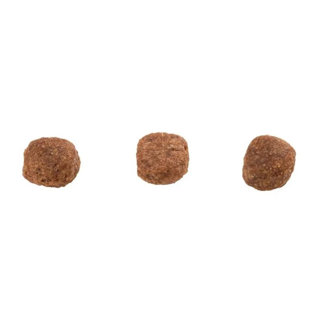 Ração Guabi Natural Super Premium Mini Pequena Frango 10,1kg — imagem 2 de 2