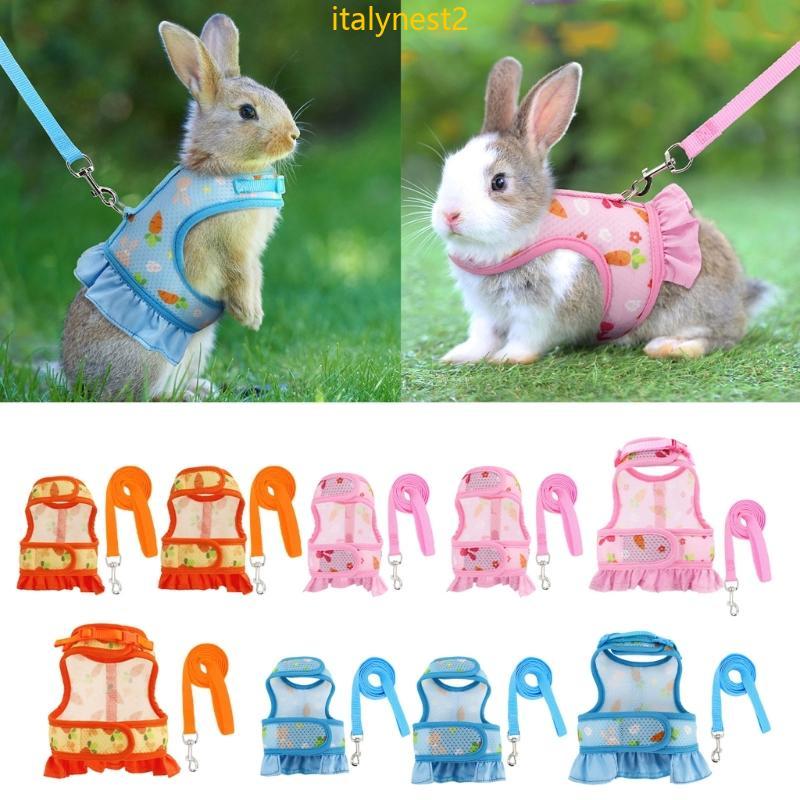 Billy Rabbits Arnês E Trela Roupas Pequenos Animais Para Coelhos Cobaias