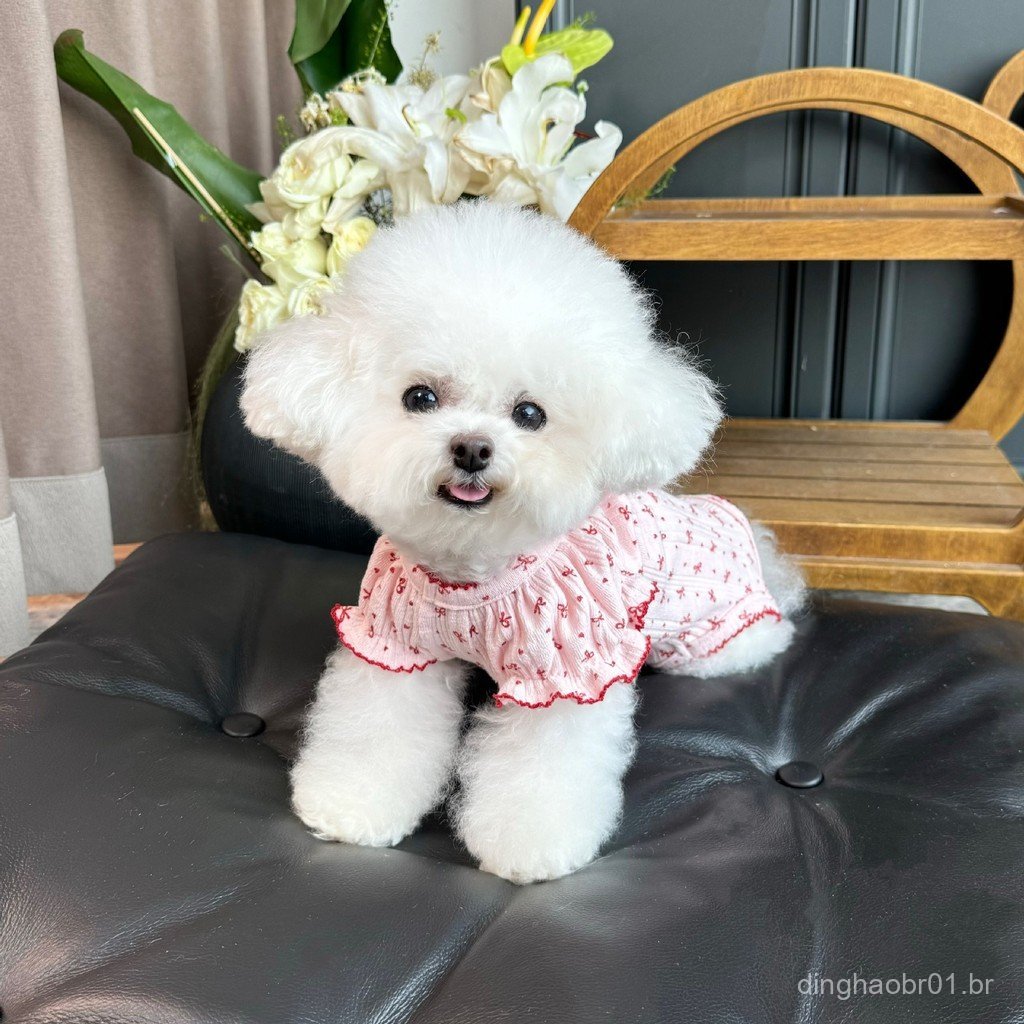 Roupa para animais de estimação: colete com mangas bufantes elásticas, roupa protetora de corpo inteiro para cães, Bicho