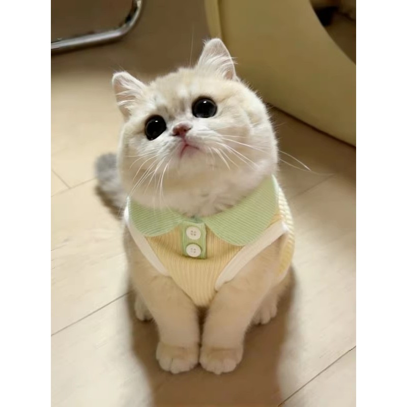 Roupas de gato Anti-fiapos camisa polo fina bonito Macaron listras Pet cão colete pequeno cão Bichon
