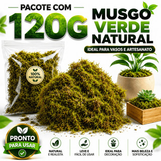 120g Musgo Verde Natural para Artesanato Decoração de Vasos Flores Paisagismo