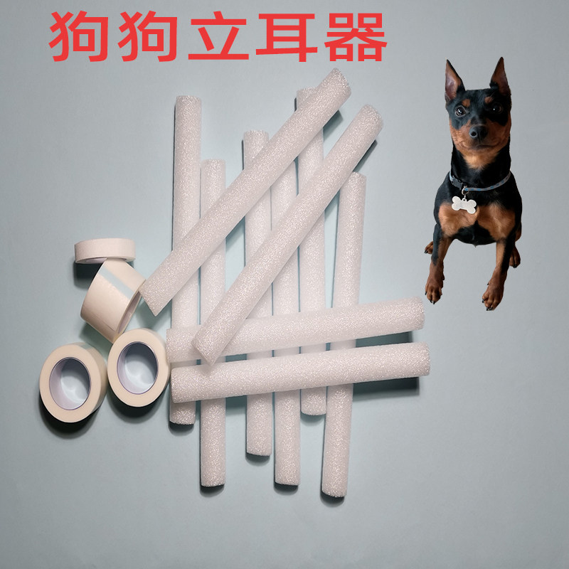 Du Bin Orelha De Cachorro Dispositivo De vertical Auxiliar De Bastão Jovem shengjing.my20260526