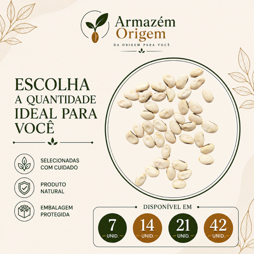 Fava De Oxalá Original Legítima - Kit (7 a 42 unidades) | Umbanda Candomblé