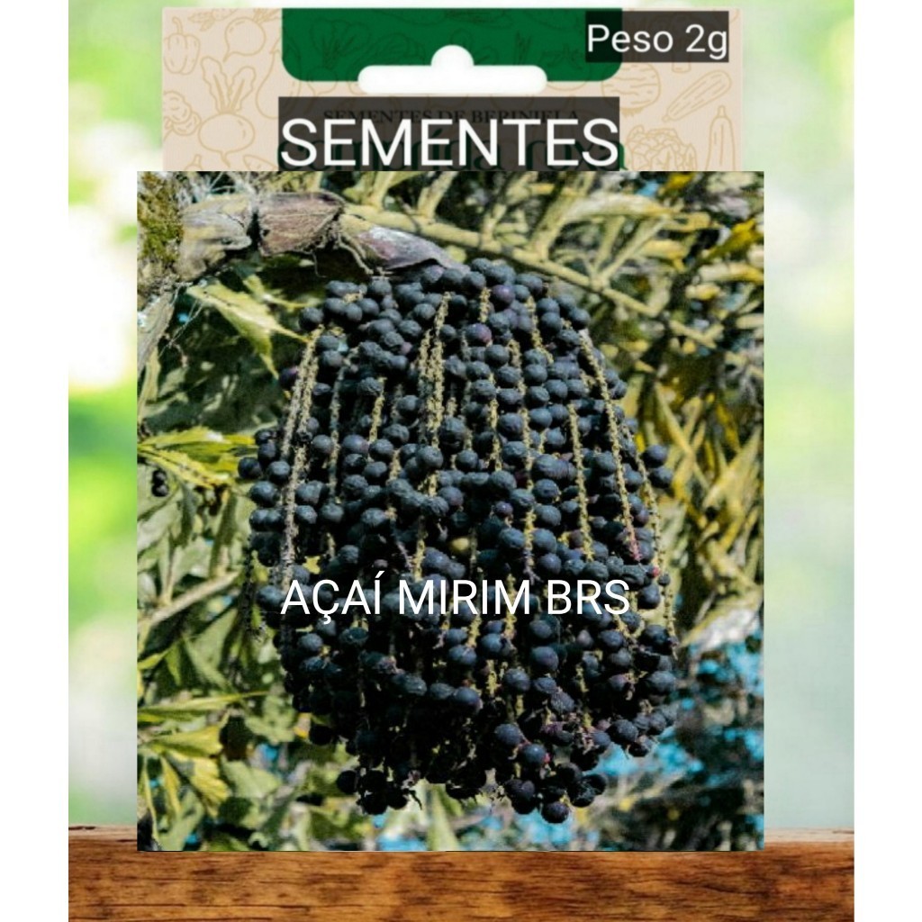 Kit SEMENTES AÇAÍ BRS  EMBRAPA .ANAO plante vaso jardim terra adubo Oferta