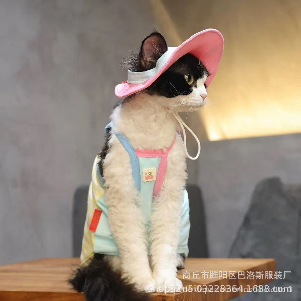 Chapéu de pescador com alça de algodão para gatos sem pelos, Devon Rex, Sphynx, colorido.