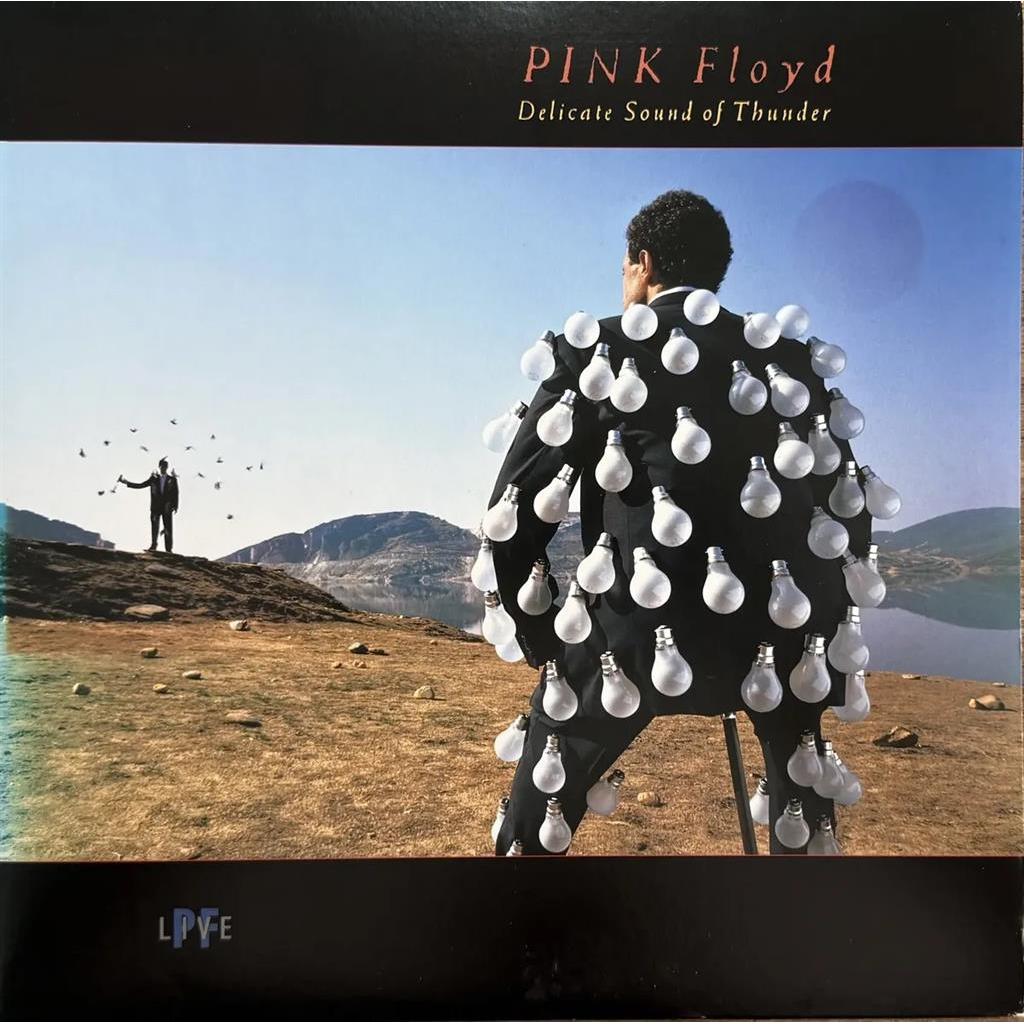 LP DISCO VINIL PINK FLOYD- DELICATE SOUND OF THUNDER DUPLO- USADO autor PINK FLOYD