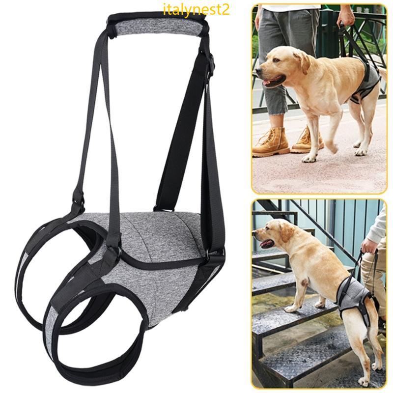 Billy Ajustável Cão Para Cães Grandes Estimação Volta Perna Suporte Cinta Elevador Arnês Cirúrgico Conjunt