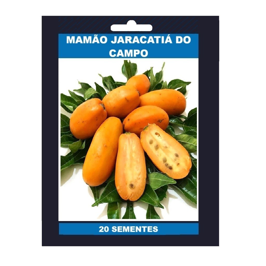 ambiente verde 20 Sementes Rara De Mamão Jaracatiá Do Campo