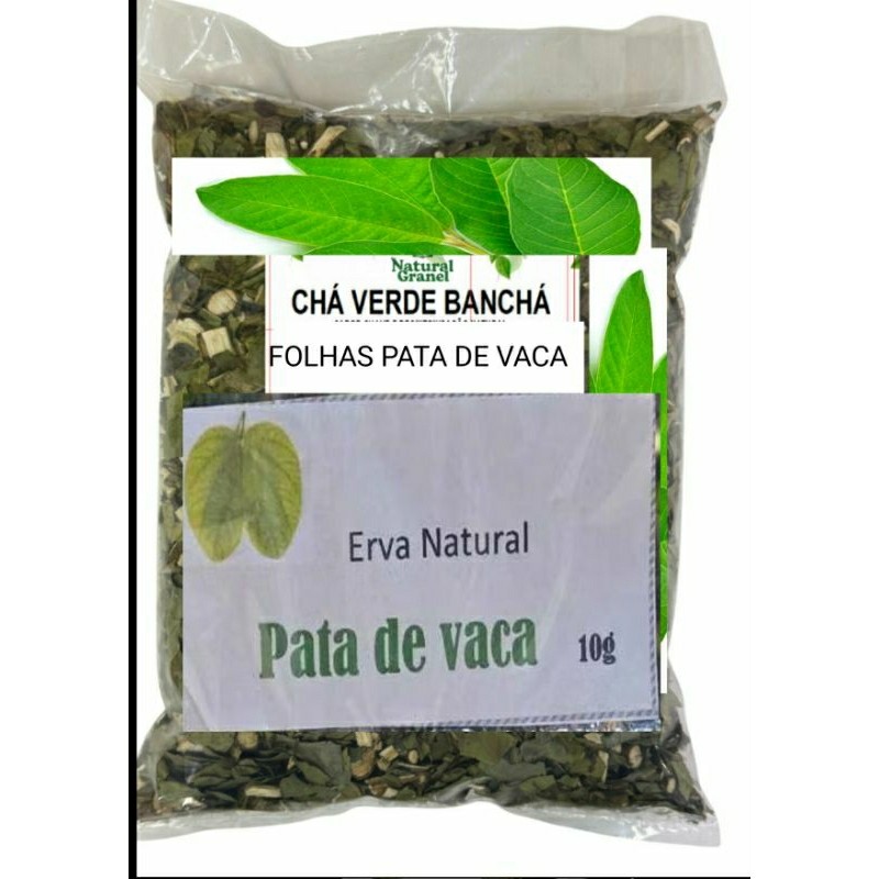 Pata-de-Vaca frescas Erva Medicinal Natural Chá de Pata-de-Vaca  Folhas novas