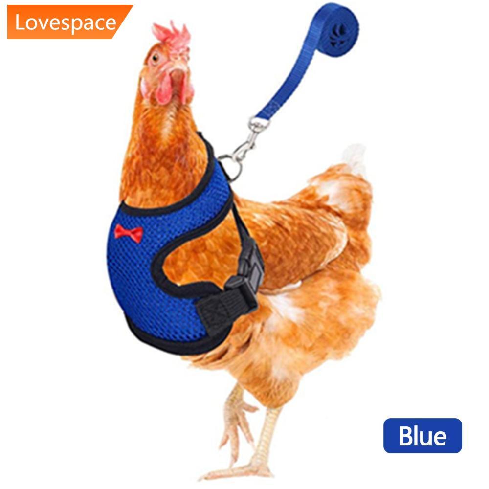 LS-STORE Malha Respirável Frango Pato Colete Trelas Aves Galinha Pet Arnês Com Treinamento Correspondente Para Caminhar