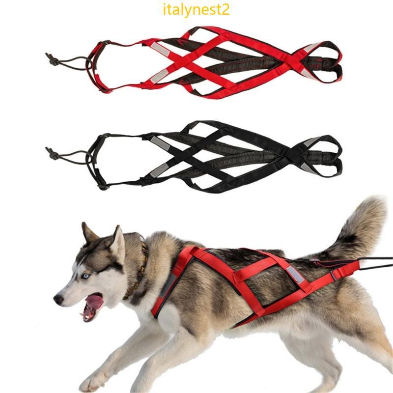 Arnês Para Cães Billy Esportes E Aventuras Ar, Uso Esqui, Corrida, Ajustável Animais Estimação, Peito