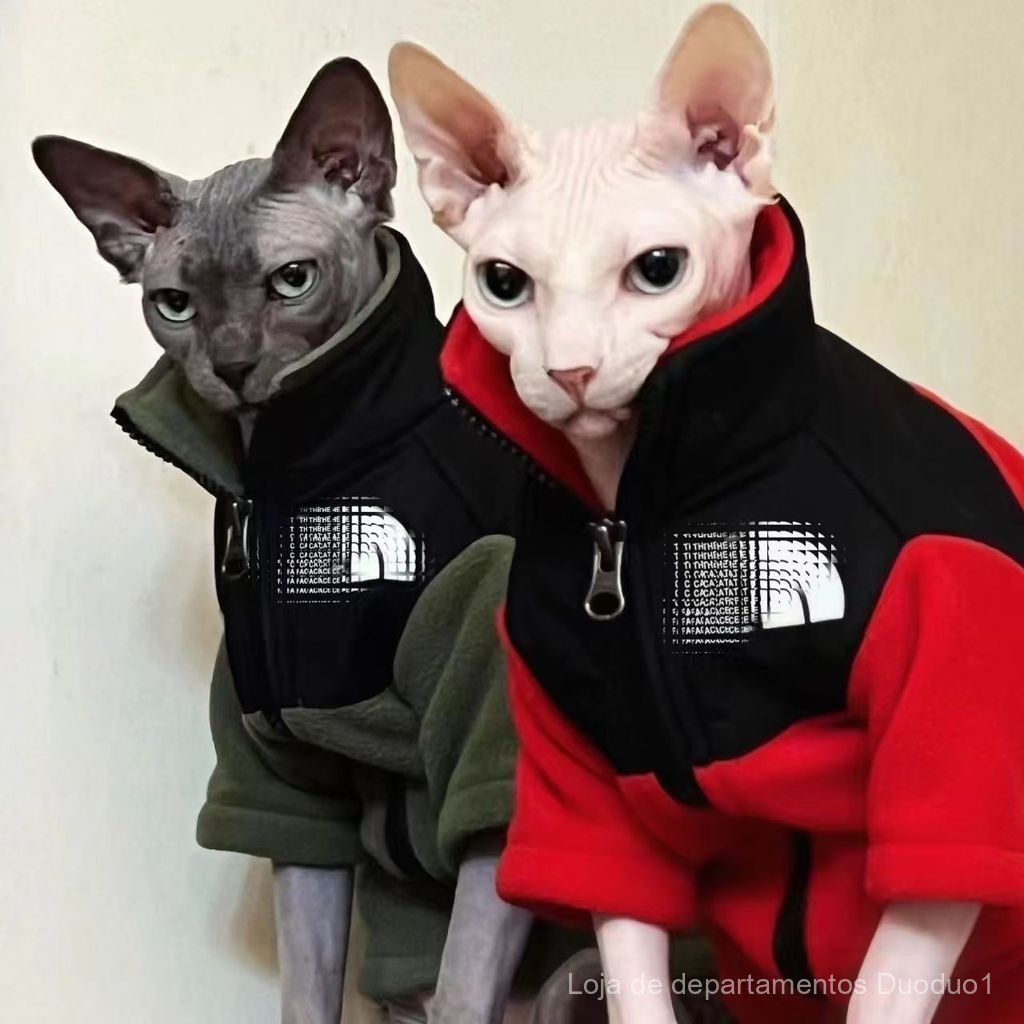 Roupas para gatos sem pelos Sphynx Devon Rex Abyssinian Abby, jaqueta de moletom de lã