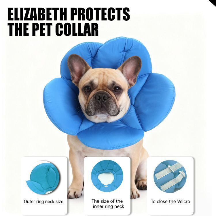 Coleira Elizabeth para animais de estimação, arnês para cães, capa protetora Anti-lamber, arco-íris, flor, proteção, col