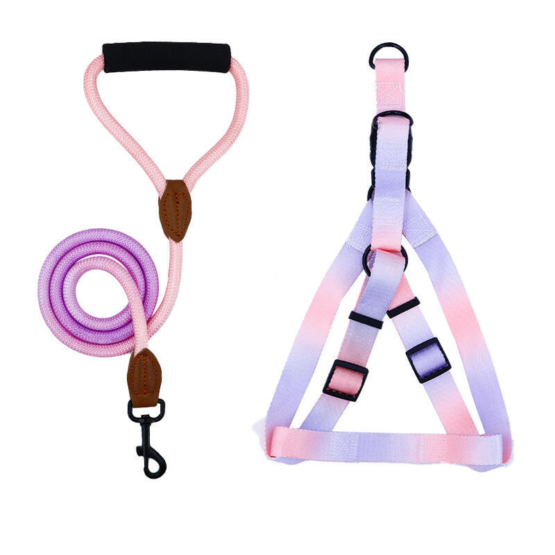 Um Conjunto De Arnês Colorido Para Animais De Estimação Com Trela E Cães Uso Interno Externo