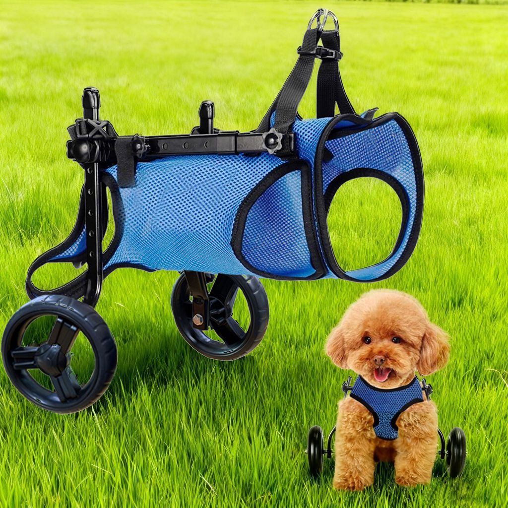 Cadeira de Rodas para Cães Pequenos, Carrinho de Apoio à Mobilidade para Raças Mini, Auxílio para Caminhada para Animais