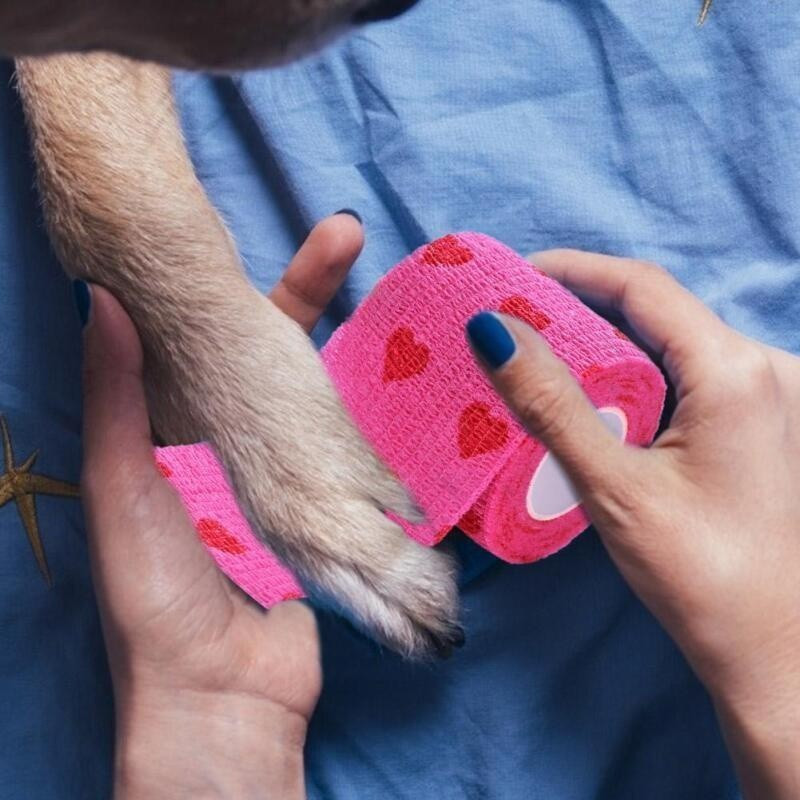 Cão De Estimação Gato Médico Respirável Bandagem Elástica Não Tecido Pet Auto-Aderente Ferida Ao Ar Livre Retrátil Espor