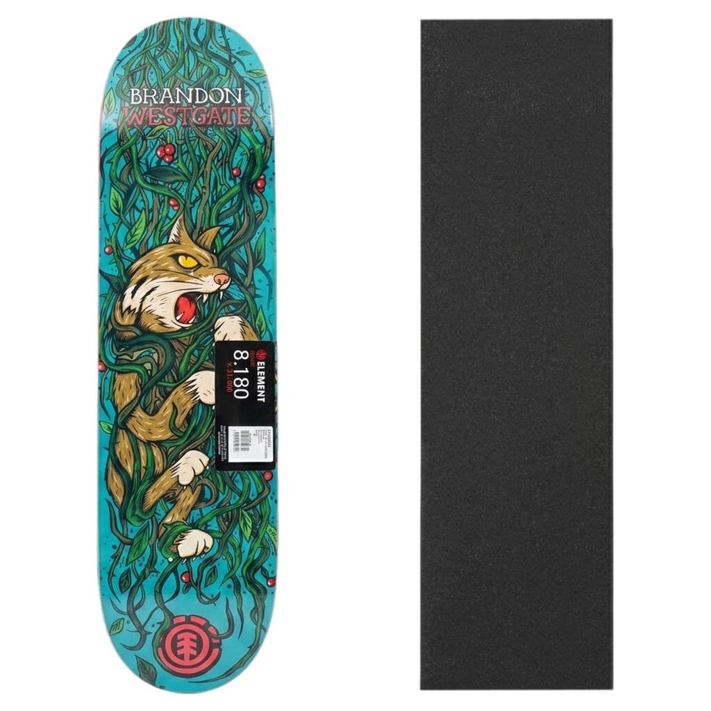 Shape Skate Element Maple Original 8.18 Com Lixa