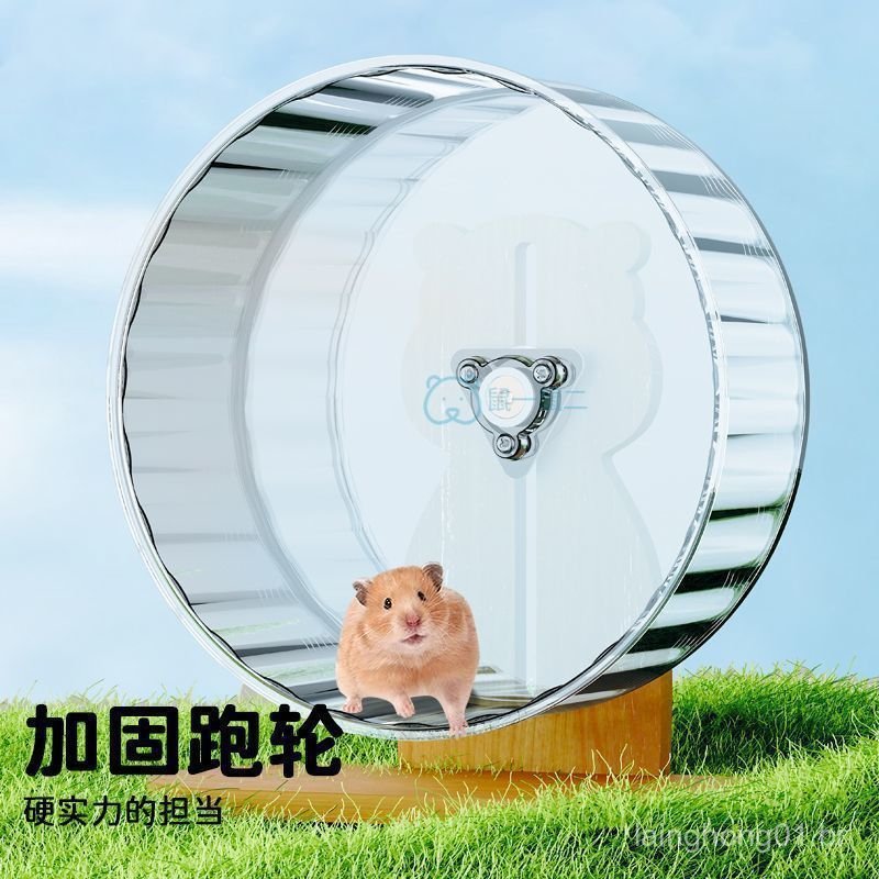 Roda de Corrida Silenciosa para Hamster, Esteira para Hamster Dourado com Rolo Transparente, Brinquedo de Exercício para