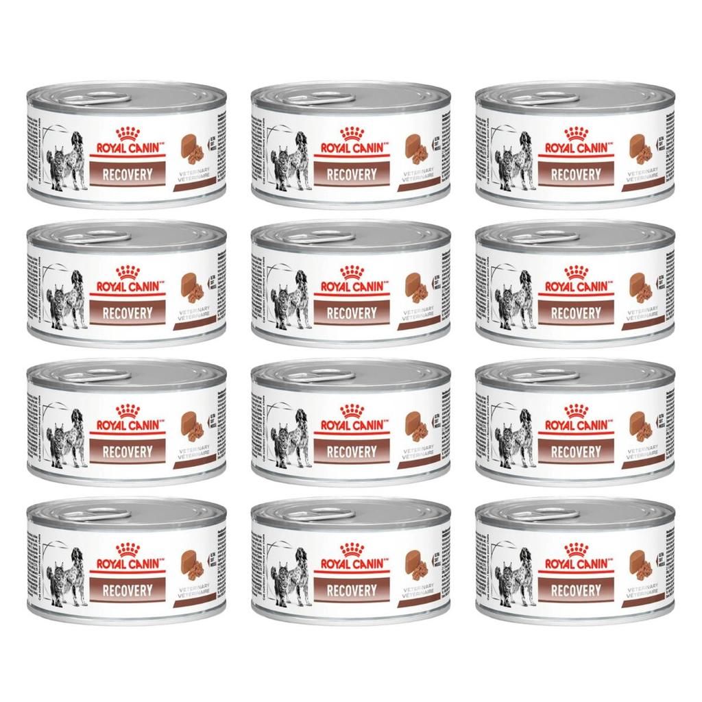 Kit 12 Ração Úmida Royal Canin Recovery Lata Cão E Gato 195g
