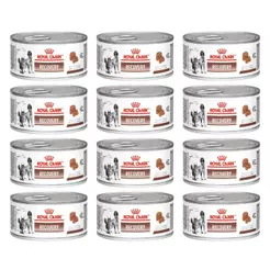 Kit 12 Ração Úmida Royal Canin Recovery Lata Cão E Gato 195g