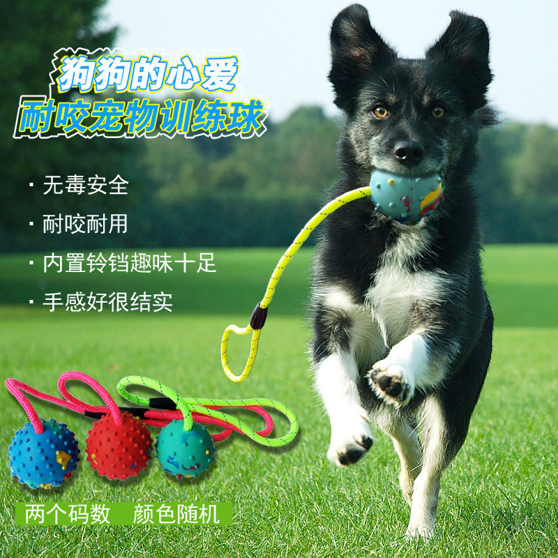 Suprimentos para animais de estimação Molar brinquedo bola cão mordida-resistente bola brinquedo para animais de estimaç
