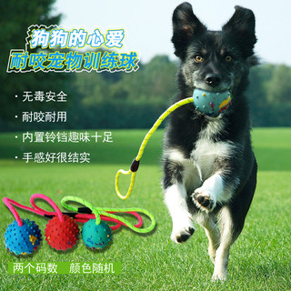 Suprimentos para animais de estimação Molar brinquedo bola cão mordida-resistente bola brinquedo para animais de estimaç