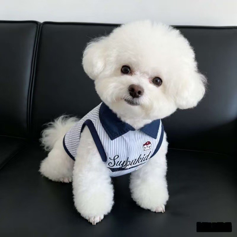 Colete Polo para Cães e Gatos, Estilo Fino de Verão, para Cães Pequenos como Bichon, Maltês, Yorkshire, SSPR