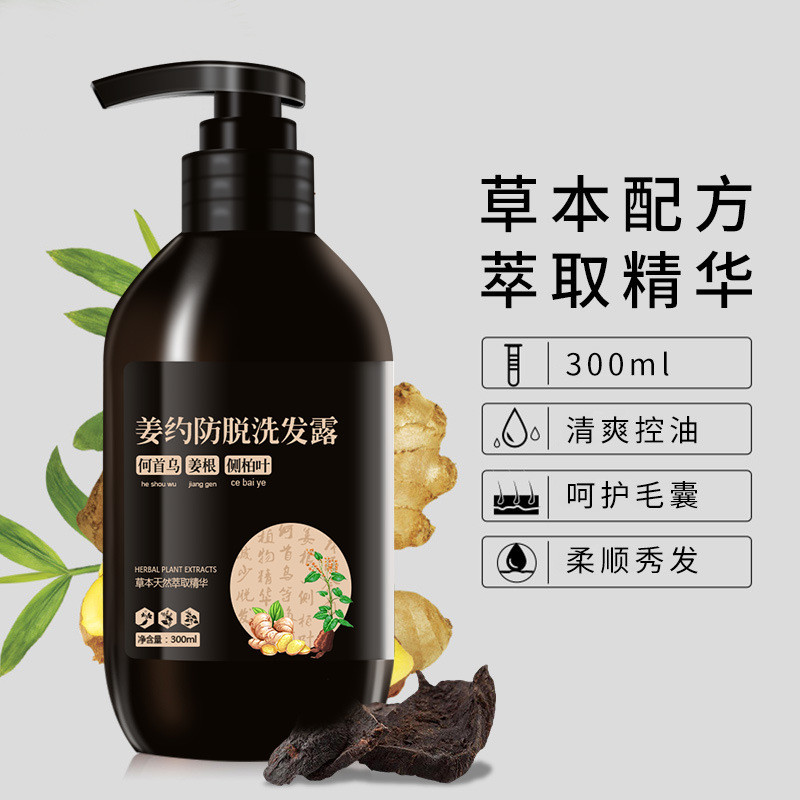 Gengibre sobre prevenção de perda de cabelo shampoo oficial carro-chefe Polygonum Multiflorum gengibre lado cipreste fol