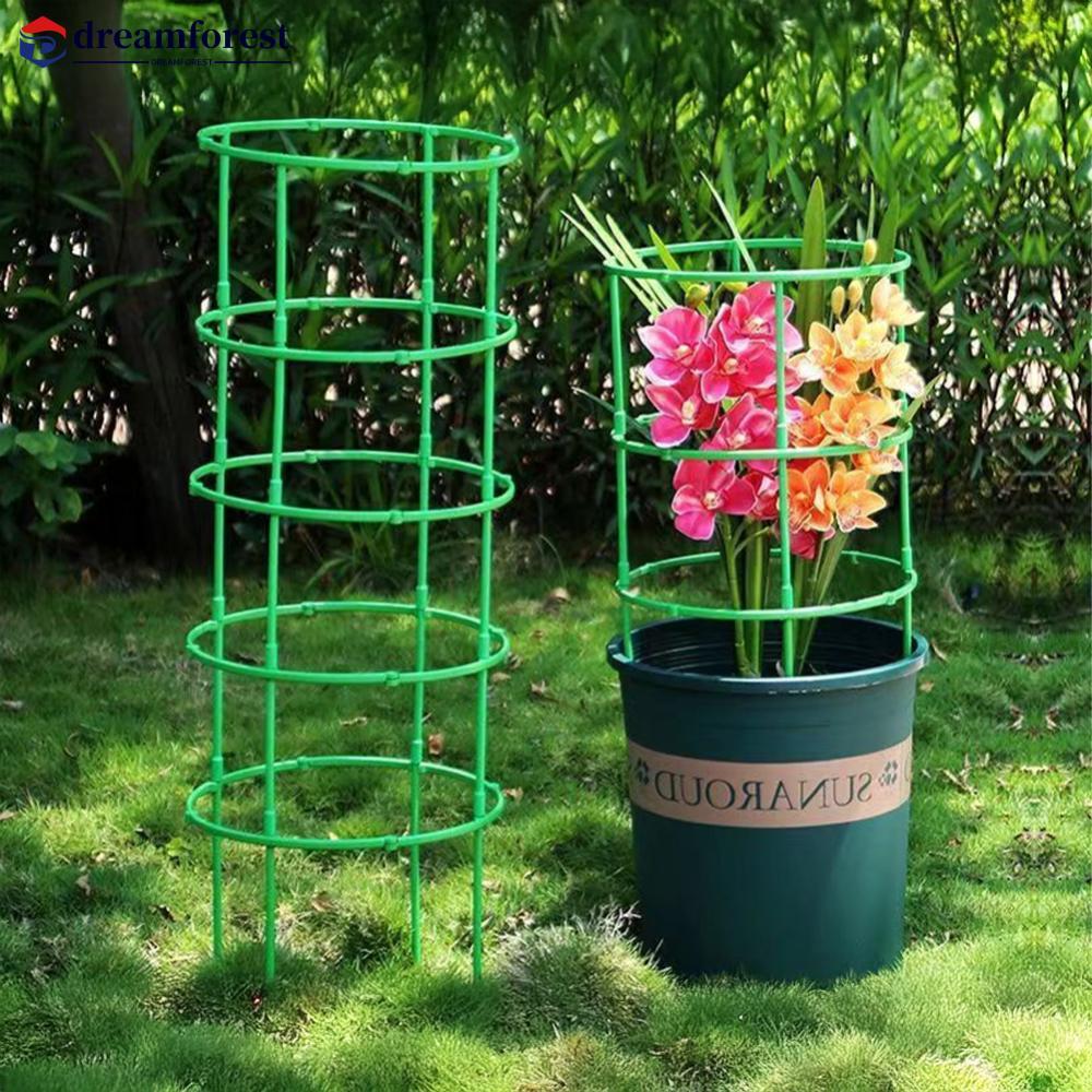 DREAMFOREST Planta Suporte Pilha Meia Redonda Escalada Videiras Estaca Bonsai Haste De Fixação Jardim Titular Flor Anel