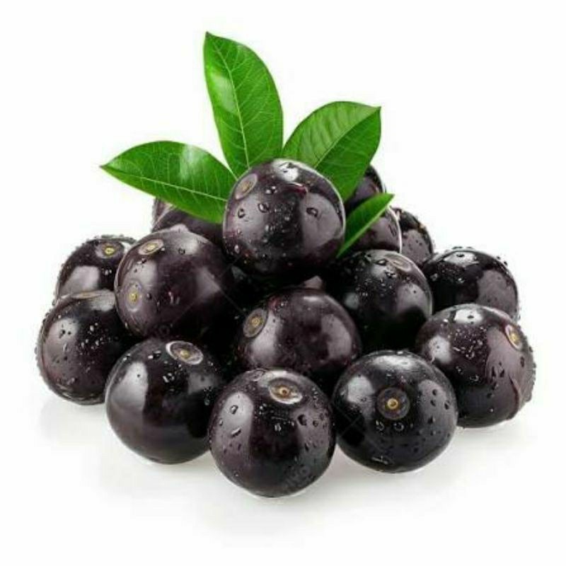 Kit SEMENTES AÇAÍ BRS  EMBRAPA .ANAO plante vaso jardim terra adubo Oferta