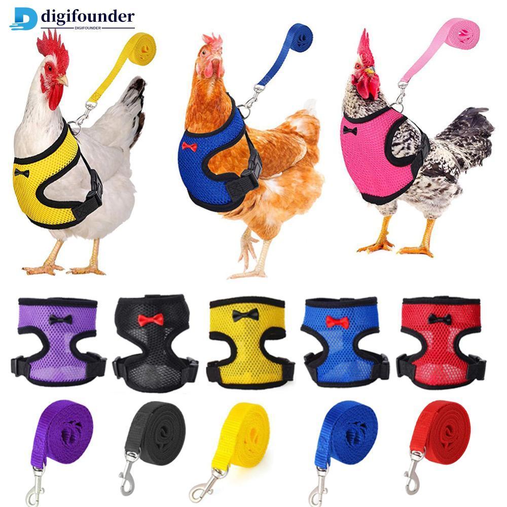 DIGIFOUNDER Malha Respirável Frango Pato Colete Trelas Aves Galinha Arnês Para Animais De Estimação Com Treinamento Corr