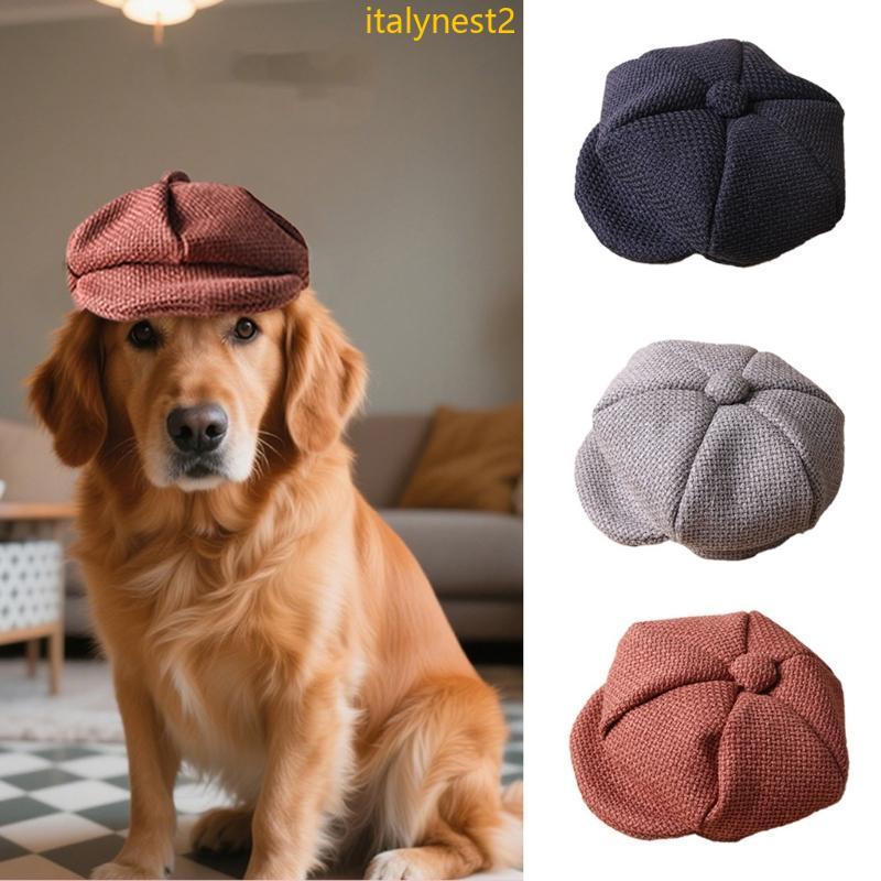 Billy Boina Chapéu Para Animais Estimação Respirável Cordão Ajustável Design Octogonal Raças Pequenas E Gatos Vestido