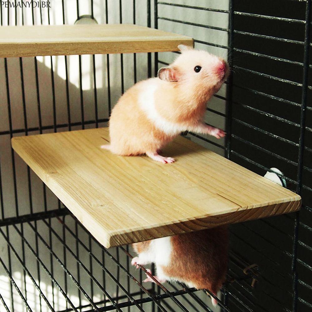 PEWANYDI Suporte Plataforma Esquilo Chinchila Ratos Brinquedos Gaiola Hamster Calopsita Moagem Papagaio Rack