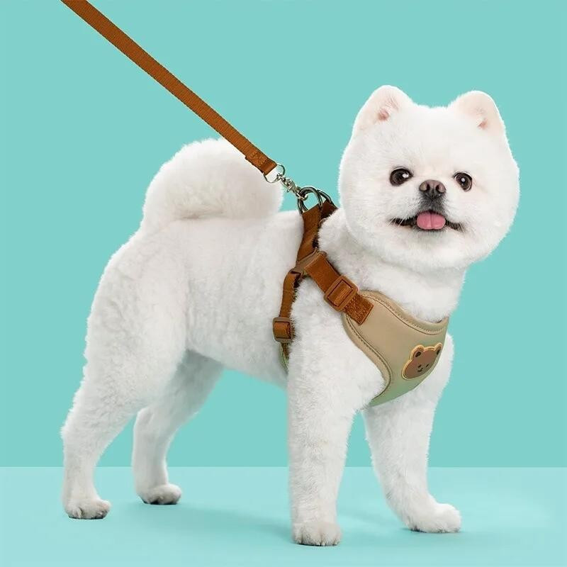 Cão De Estimação Arnês Trela Conjunto Pequeno Médio Gato Colete Respirável Filhote De Cachorro Cinta Peito Buldogue Fran