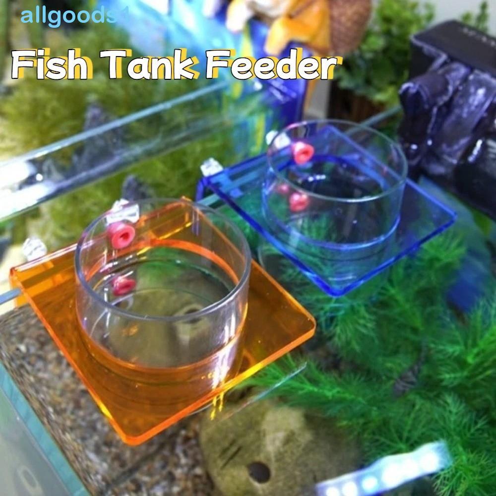 Anel De Alimentação De Peixes ALLGOODS , Alimentador De Tanque Transparente Montado Na Parede , Bacia De Plástico