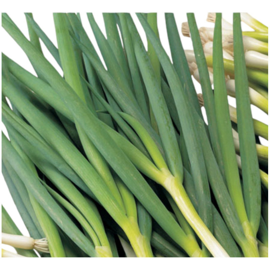 Kit 1000 Sementes para Horta e Jardim: Temperos Ervas Aromáticas Pimentas e Flores Ornamentais | Plantio Fácil