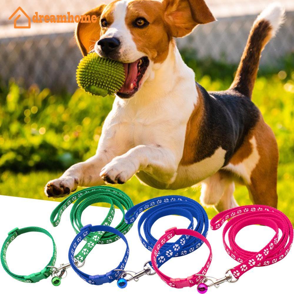 DREAMHOME Conjunto De Coleira E Arnês Para Animais De Estimação De 1.2 M , Corrente Cães Com Estampa De Pata Fofa Gatos